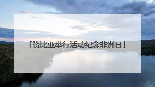 赞比亚举行活动纪念非洲日