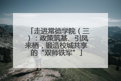 走进常德学院（三）：政策筑基、引凤来栖，锻造校城共享的“双师铁军”