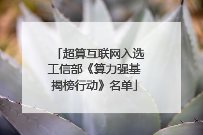 超算互联网入选工信部《算力强基揭榜行动》名单