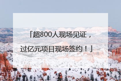超800人现场见证，过亿元项目现场签约！