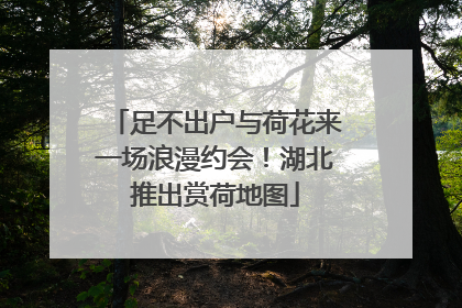 足不出户与荷花来一场浪漫约会！湖北推出赏荷地图