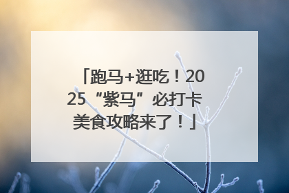 跑马+逛吃！2025“紫马”必打卡美食攻略来了！