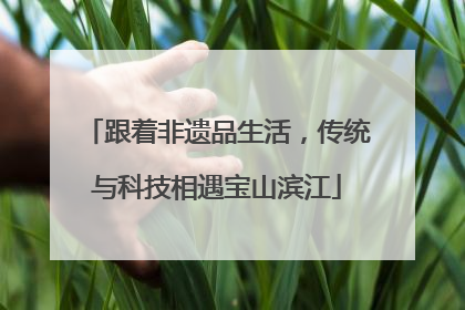 跟着非遗品生活，传统与科技相遇宝山滨江