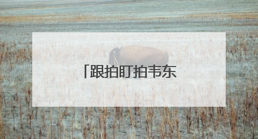 跟拍盯拍韦东奕，32个违规直播间被关停