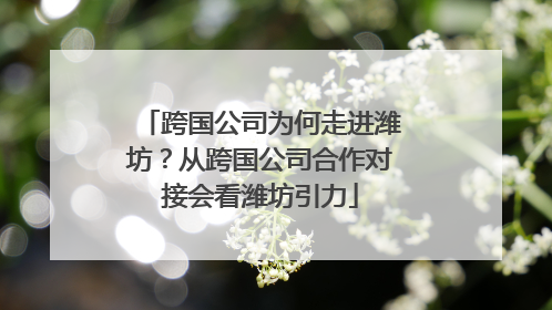 跨国公司为何走进潍坊？从跨国公司合作对接会看潍坊引力