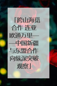 跨山海觅合作 连亚欧通万里——中国新疆与东盟合作向纵深突破观察