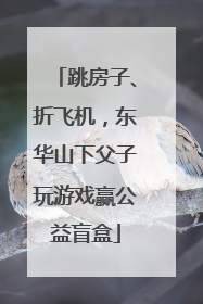 跳房子、折飞机，东华山下父子玩游戏赢公益盲盒