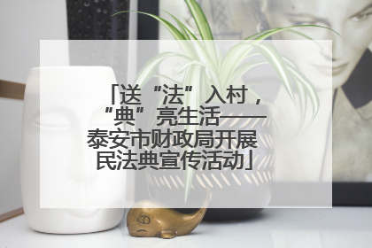 送“法”入村，“典”亮生活——泰安市财政局开展民法典宣传活动