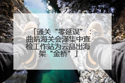 通关“零延误”：曲靖海关会泽集中查检工作站为云品出海架“金桥”