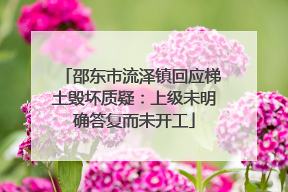 邵东市流泽镇回应梯土毁坏质疑：上级未明确答复而未开工