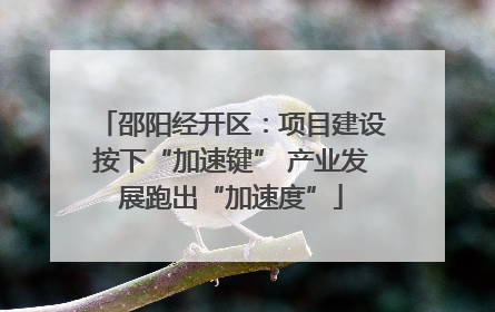 邵阳经开区：项目建设按下“加速键” 产业发展跑出“加速度”