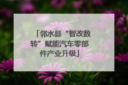 邻水县“智改数转”赋能汽车零部件产业升级