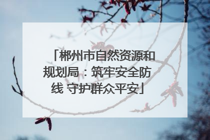 郴州市自然资源和规划局：筑牢安全防线 守护群众平安