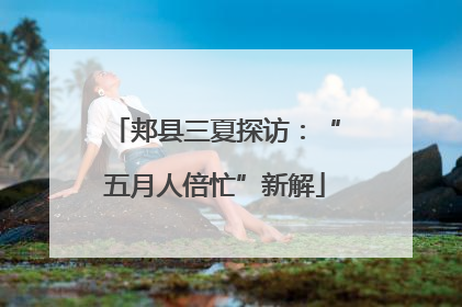 郏县三夏探访：“五月人倍忙”新解