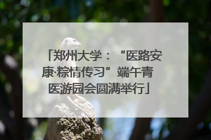 郑州大学：“医路安康·粽情传习”端午青医游园会圆满举行
