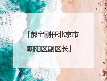 郝宝刚任北京市朝阳区副区长