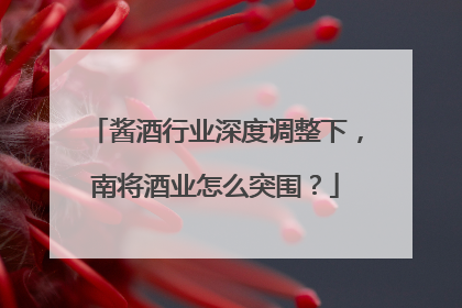 酱酒行业深度调整下，南将酒业怎么突围？