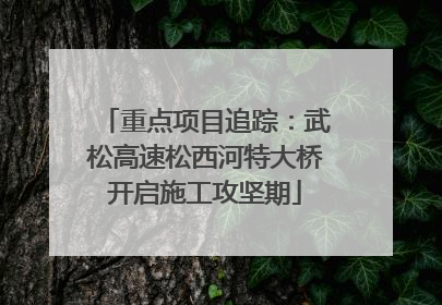 重点项目追踪：武松高速松西河特大桥开启施工攻坚期