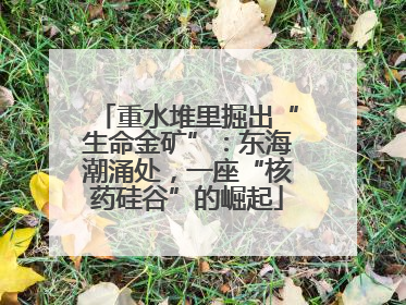 重水堆里掘出“生命金矿”：东海潮涌处，一座“核药硅谷”的崛起