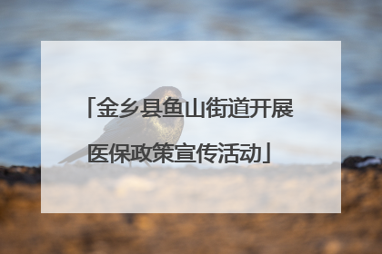 金乡县鱼山街道开展医保政策宣传活动