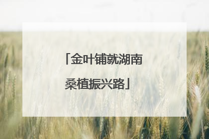 金叶铺就湖南桑植振兴路