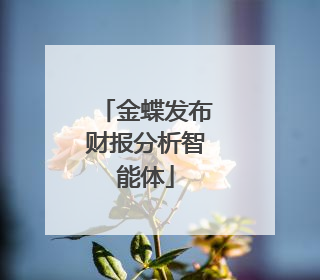 金蝶发布财报分析智能体