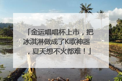 金运唱唱杯上市，把冰淇淋做成了K歌神器，夏天想不火都难！