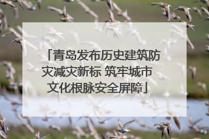 青岛发布历史建筑防灾减灾新标 筑牢城市文化根脉安全屏障