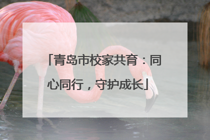 青岛市校家共育：同心同行，守护成长