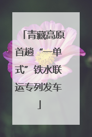 青藏高原首趟“一单式”铁水联运专列发车
