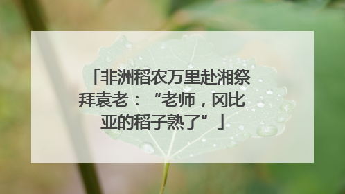 非洲稻农万里赴湘祭拜袁老：“老师，冈比亚的稻子熟了”