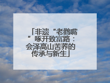 非遗“老鹳嘴”啄开致富路：会泽高山苦荞的传承与新生