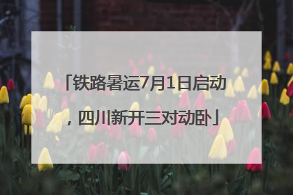 铁路暑运7月1日启动，四川新开三对动卧