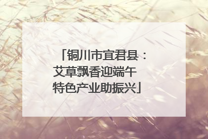 铜川市宜君县：艾草飘香迎端午 特色产业助振兴