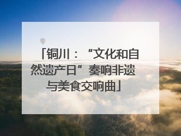 铜川：“文化和自然遗产日”奏响非遗与美食交响曲