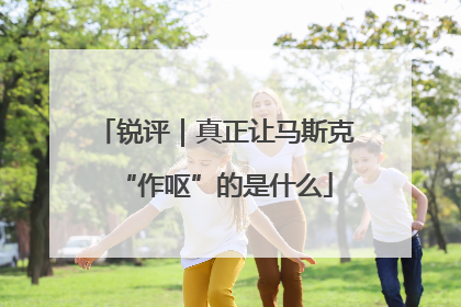 锐评｜真正让马斯克“作呕”的是什么