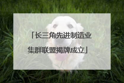 长三角先进制造业集群联盟揭牌成立