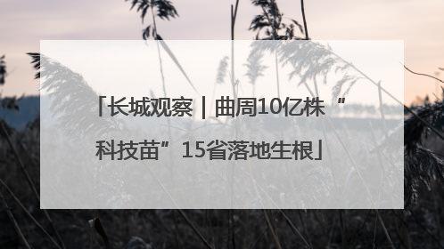 长城观察｜曲周10亿株“科技苗”15省落地生根