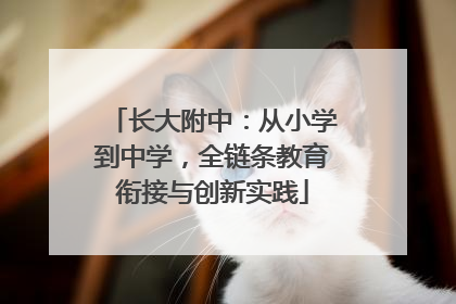 长大附中：从小学到中学，全链条教育衔接与创新实践