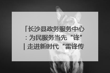 长沙县政务服务中心：为民服务当先“锋”｜走进新时代“雷锋传人 长沙榜样”