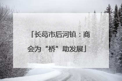 长葛市后河镇：商会为“桥”助发展