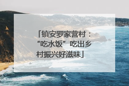 镇安罗家营村：“吃水饭”吃出乡村振兴好滋味