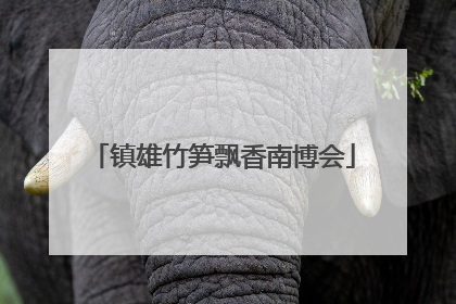 镇雄竹笋飘香南博会