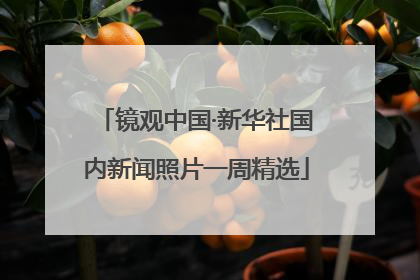 镜观中国·新华社国内新闻照片一周精选