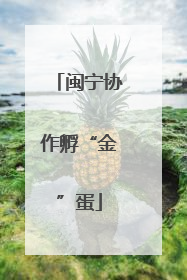 闽宁协作孵“金”蛋