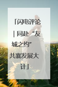 闪电评论｜同赴“友城之约” 共襄发展大计