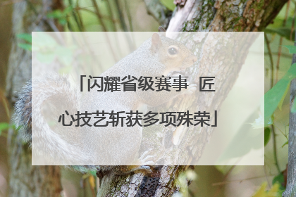 闪耀省级赛事  匠心技艺斩获多项殊荣