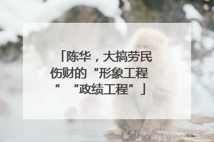 陈华，大搞劳民伤财的“形象工程”“政绩工程”