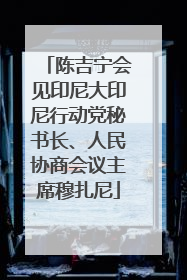陈吉宁会见印尼大印尼行动党秘书长、人民协商会议主席穆扎尼