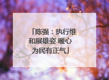 陈强：执行维和展雄姿 暖心为民有正气